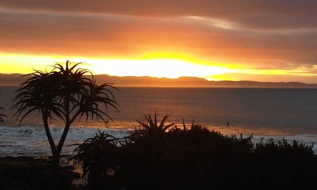 Ode to J-Bay – Jeffrey’s Bay, Eastern Cape