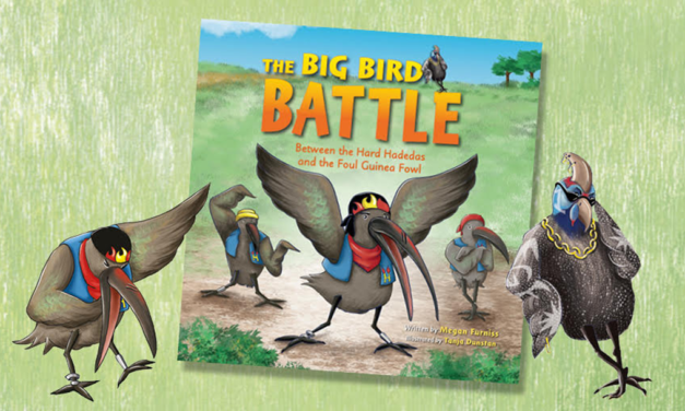 Books: Big Bird Battle, by Megan Furniss