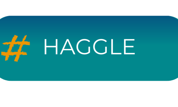 Travel: Haggle on Bid on Travel, SA auction portal