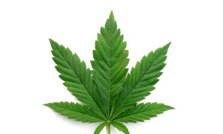 Health: National Cannabis Awareness Month, April 2021, healing potential of CBD