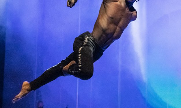 Circus and wine: The Harvest of Gratitude with Zip Zap Circus at Hout Bay Vineyards