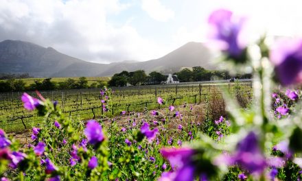 Destinations: Groot Constantia Heritage Month 2022- experience culture at South Africa’s oldest wine producing farm