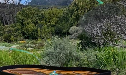 Review: Seeing the Invisible-AR exhibition is an extraordinary experience at Kirstenbosch, Cape Town