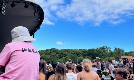 Review: Sizzling concert by Goldfish at Kirstenbosch Summer Concerts 2022/23