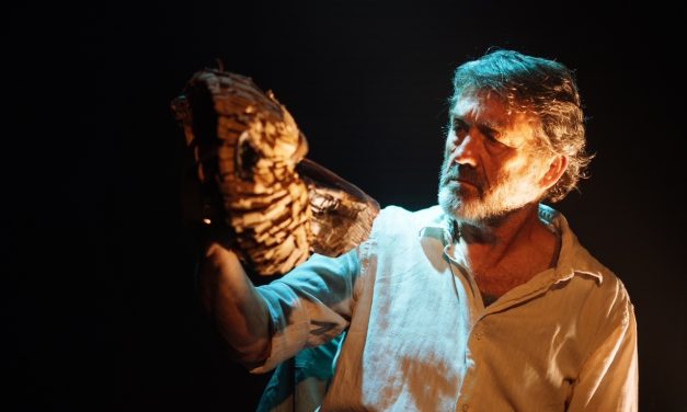 Review: Unruly, engaging with our land and rights of all our inhabitants