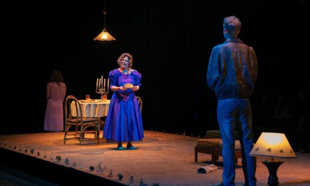 Interview: Unique dialogue between language, memory and performance with Glass Menagerie and Speelgoed van glas