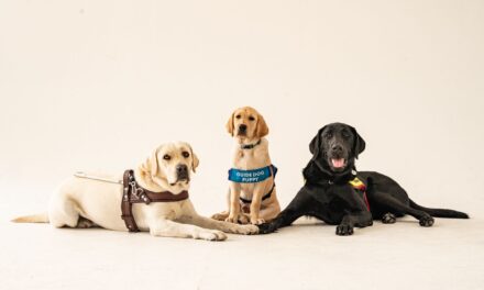 Community: The SA Guide Dogs Association launches Wear Your Shades Day Campaign 2025