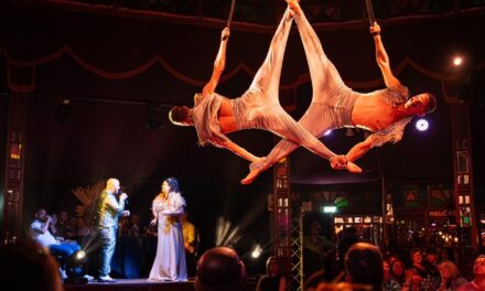 Review: The Royal Countess Zingara, La Dolce Royal, divine in every way