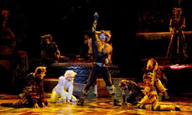 Review: Stunning, alluring, Cats, the musical, South Africa