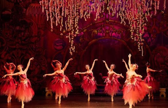 Review: Cape Ballet Africa’s extraordinary production of The Nutcracker, sublimely beautiful, layered, entrancing