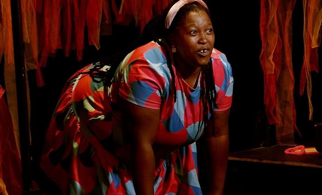 Review: Tankiso Mamabolo, Don’t Believe A Word I Say, entertaining, funny, with a biting edge