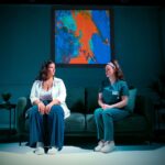 Review: Emma Amber’s You Should Go In, engrossing, hard hitting drama