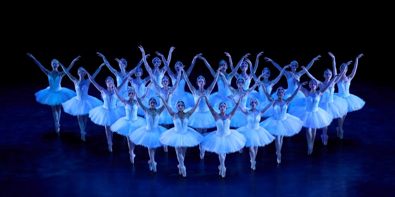 Dance: Cape Ballet Africa announces first overseas tour for SA full length production Swan Lake