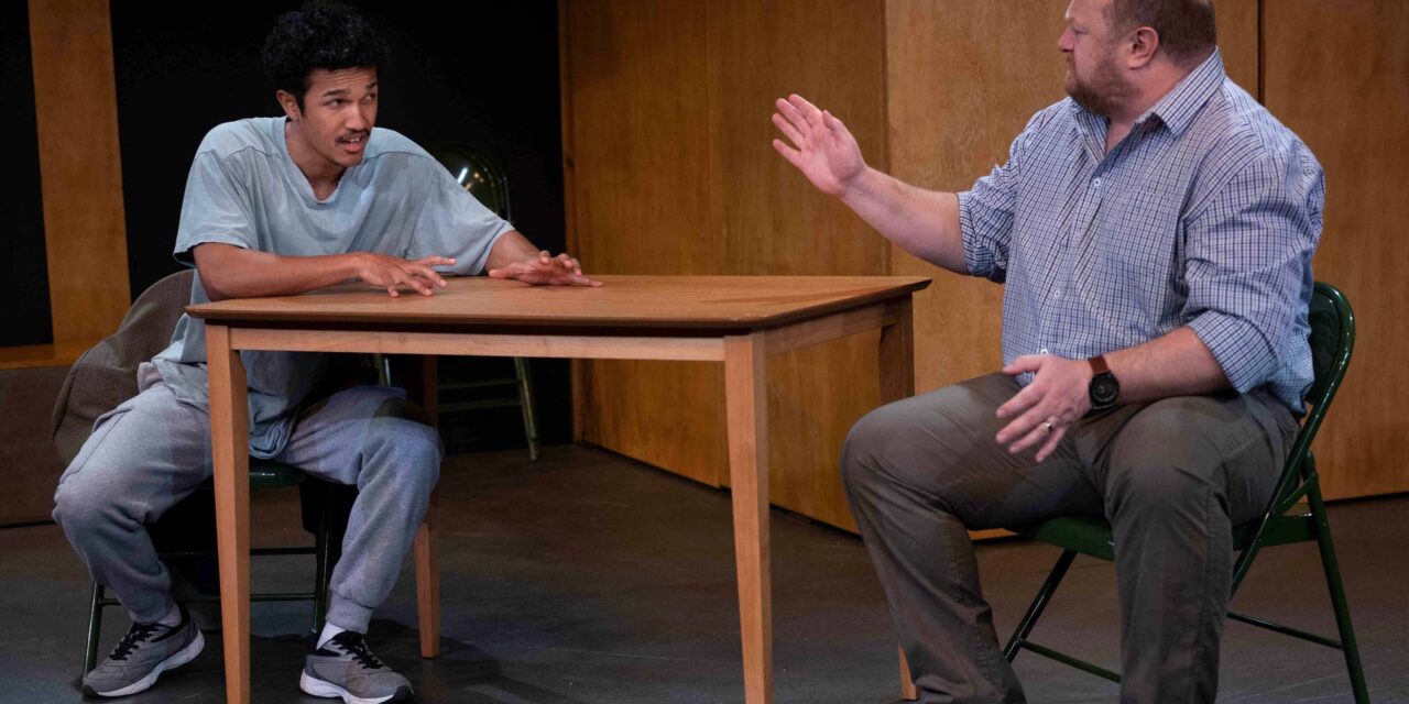 Review: The Fifth Step by David Ireland, in Cape Town