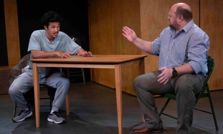 Review: The Fifth Step by David Ireland, in Cape Town