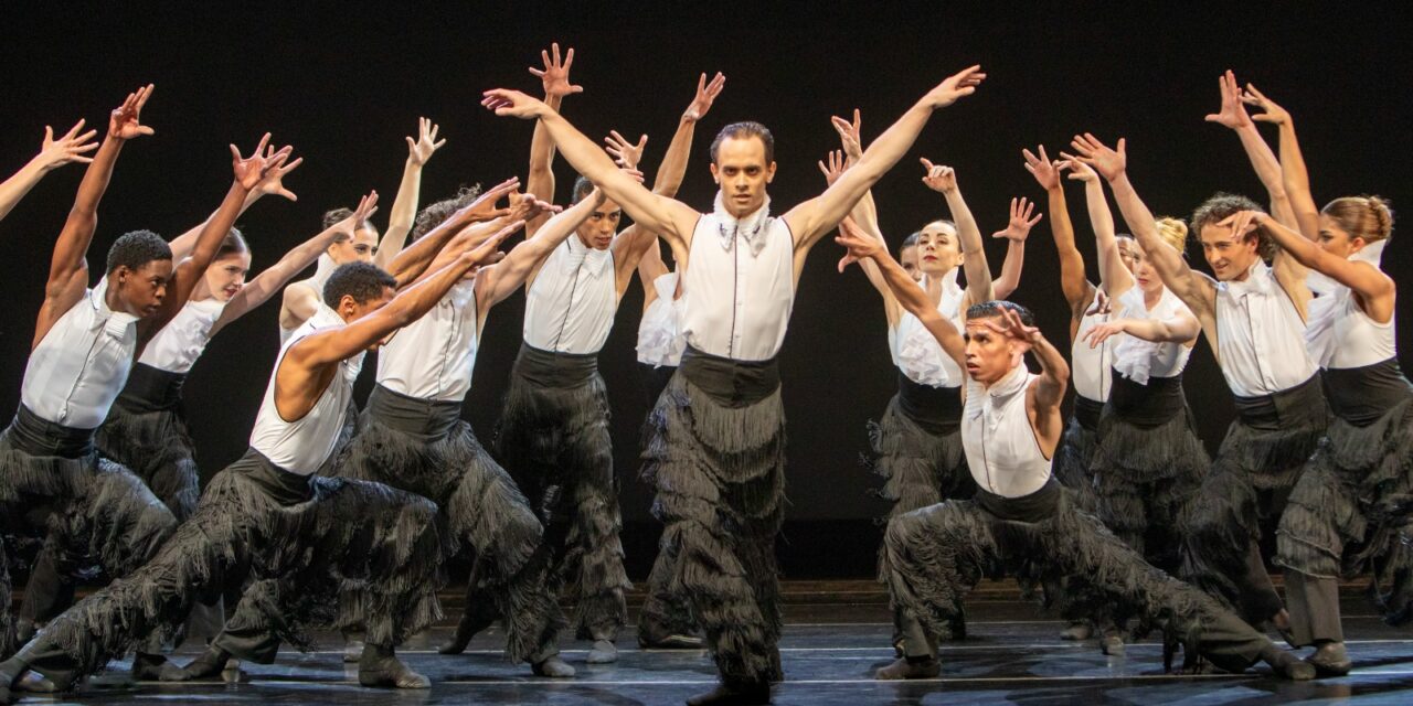Review: Blissful dance theatre, Cape Ballet Africa’s Elysium